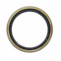 Oil Seal RICH 125x155x18 NBR 19034495B RICH
