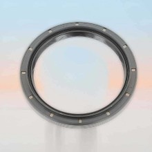 Oil Seal RICH 65x83x8/10 ACM 01035951B RICH