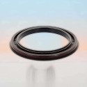 Oil Seal RICH 114,1x152x14 KASSETTE FPM 12017353B RICH