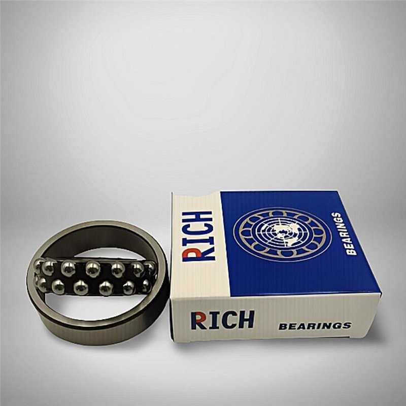 1302 2RS RICH 15x42x13 13022RS RICH