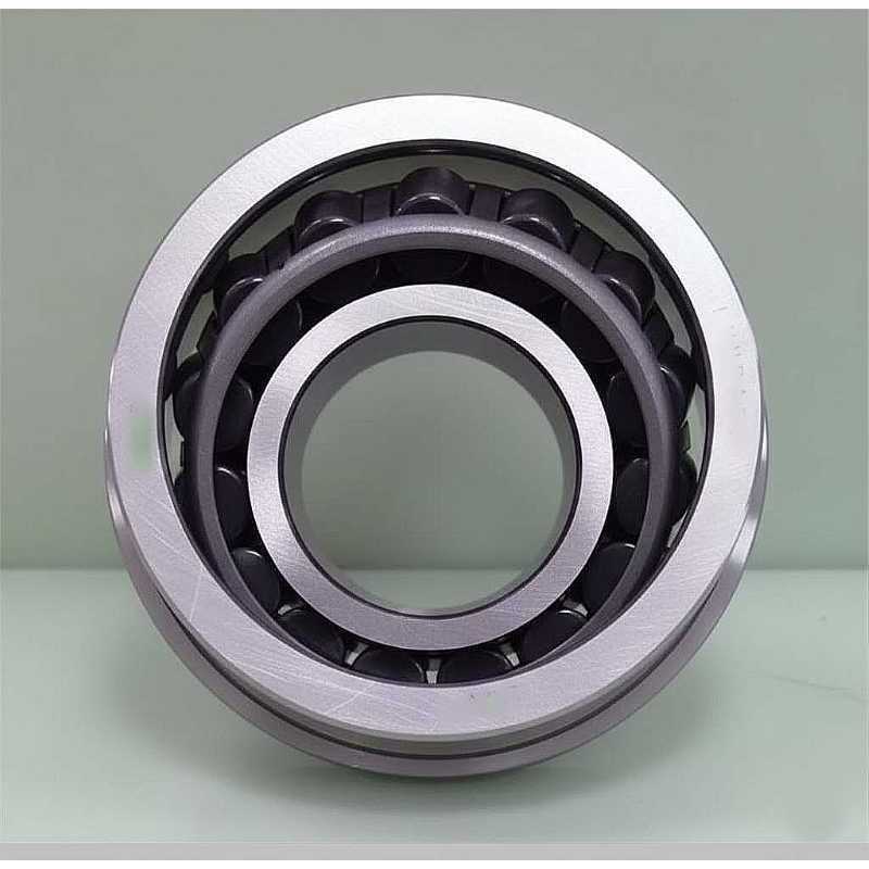 801328 RICH 55x110x39 801328 RICH