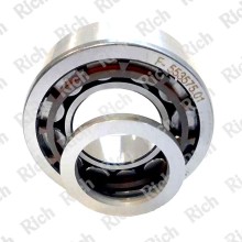 F 553575.01 RICH 20x42x16 F 553575.01-NUP RICH