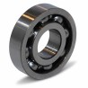 30BC07 S4 C3 RICH 30x75x19 30BC07S33Z RICH