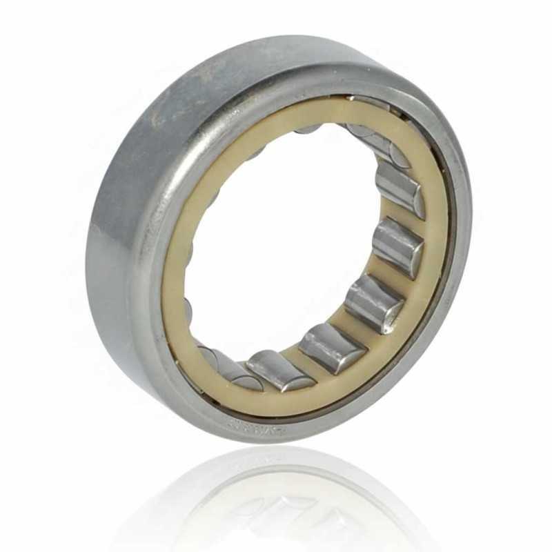 F-240039.03 RICH 43x66x17 F-230627 RICH