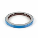 Oil Seal RICH 125x160x17 KASSETTE FPM 19034607B RICH