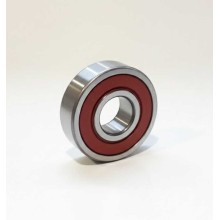 SC0299 RS Z RICH 15x38x12 SC0299LUZV2 RICH