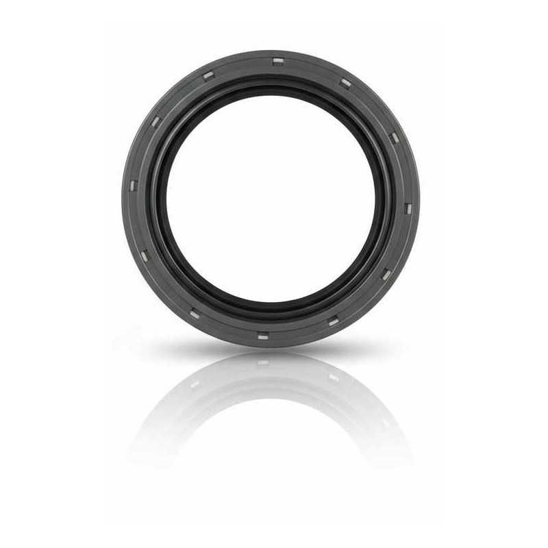 Oil Seal RICH 75x100x8,5 FPM 19016539B RICH