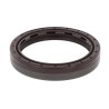 Oil Seal RICH 80x100x15,5 FPM 01033293B RICH