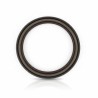 Oil Seal RICH 132x172x12 KASSETTE FPM 19036785B RICH
