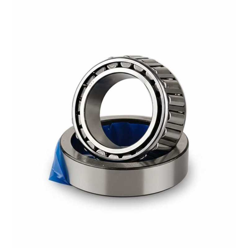 25590/2/25520/2 RICH 45,618x82,931x26,988 25590/2/25520/2/Q RICH