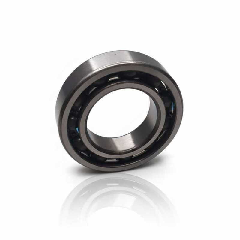 AB44196 S01 RICH 31x55x13 AB44196S01 RICH