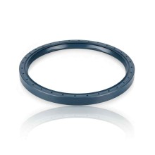 Oil Seal RICH 145x167x13 NBR 12013359B RICH