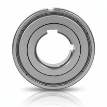 FZ 6207 PP RICH 35x72x17 FZ6207PP RICH