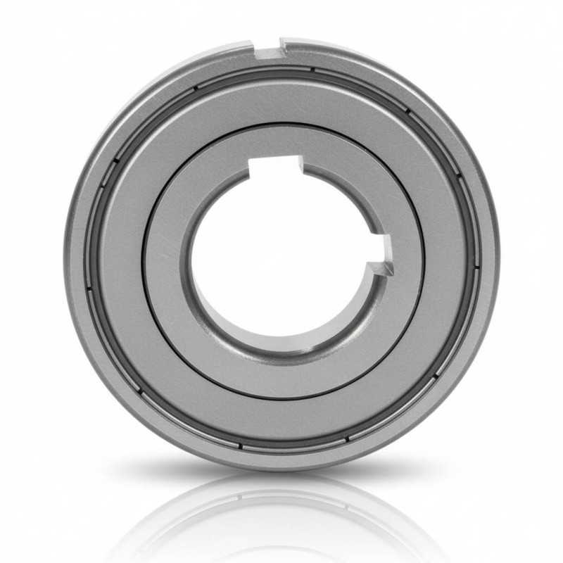 FZ 6207 PP RICH 35x72x17 FZ6207PP RICH