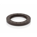 Oil Seal RICH 70x100x10 FPM 01030089B RICH