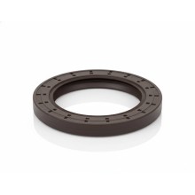 Oil Seal RICH 70x100x10 FPM 01030089B RICH
