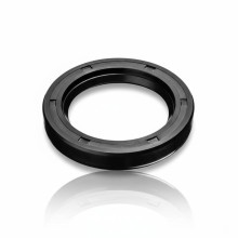 Sealing Ring FPM 95x110x10 | Double Lip Seal 95x110x10DLS RICH