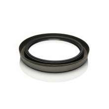 Sealing Ring NBR 125x160x15 Double Lip Seal 125x160x15DLS RICH