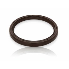 Oil Seal RICH 80x96x9 FPM 19016236B RICH