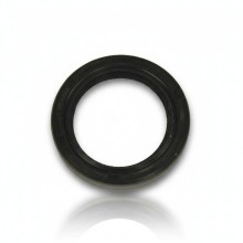 Oil Seal RICH 38,5x53x8 FPM 19026918B RICH