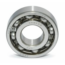 25BC06 R46 RICH 25x58x16 25BC06S46