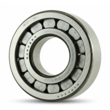 NUPK 204 S1 RICH 20x47x14 NUPK204S1 RICH