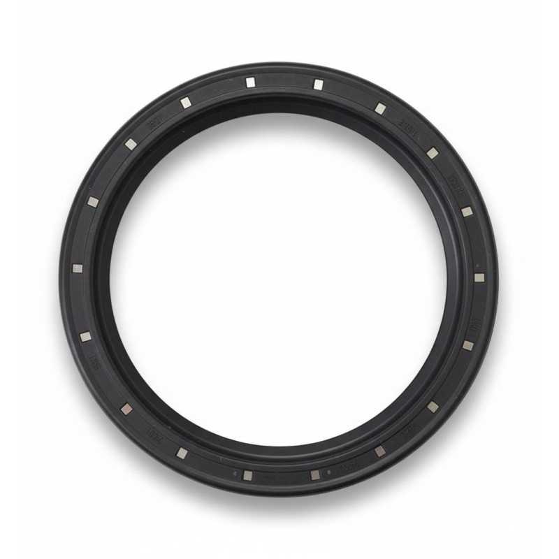 Oil Seal RICH 80x100x12 FPM 01015812B RICH