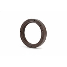 Oil Seal RICH 60,45x76,18x10 FPM 12015546B RICH