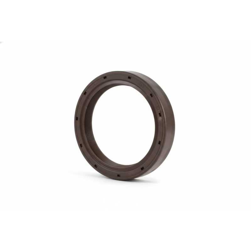 Oil Seal RICH 60,45x76,18x10 FPM 12015546B RICH
