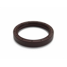 Oil Seal RICH 45x57x9 FPM 01033868B RICH