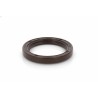 Oil Seal RICH 42x56x7 FPM 15031987B RICH