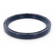 Oil Seal RICH 80x96x7,5 FPM 19034967B RICH