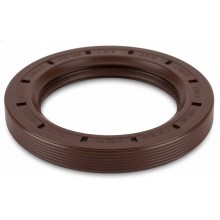 Oil Seal RICH 52,4x77,8x10 FPM 01026884B RICH