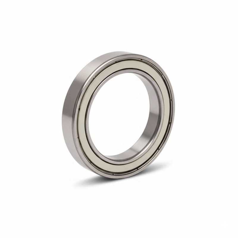 6815 ZZ RICH 75x95x10 6815ZZ RICH