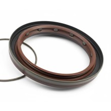 Oil Seal RICH 75x95x10/15 FPM 01020043B RICH