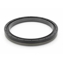 Oil Seal RICH 130x160x14/13,5 FPM 12036733B RICH