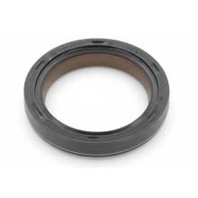 Oil Seal RICH 36x52x7 FPM 20034326B RICH