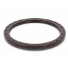 Oil Seal RICH 132x160x10 FPM 12036701B RICH