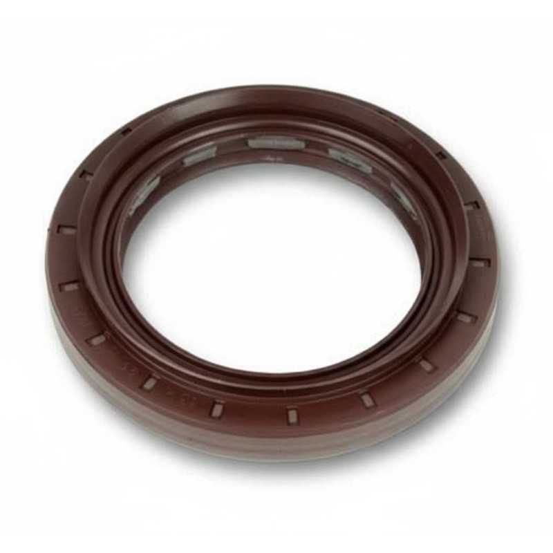 Oil Seal RICH 65x95x11/16 FPM 01034649B RICH