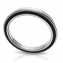 SS6818-2RS RICH 90x115x13 SS68182RS RICH