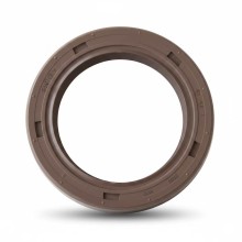 Oil Seal RICH 34x48x7 FPM 49434403 RICH