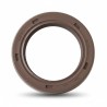 Oil Seal RICH 34x48x7 FPM 49434403 RICH