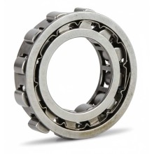 DC2222 RICH 22,22x38,885x10 DC2222GN RICH
