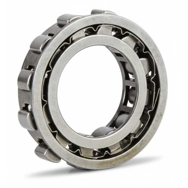 DC2222 RICH 22,22x38,885x10 DC2222GN RICH