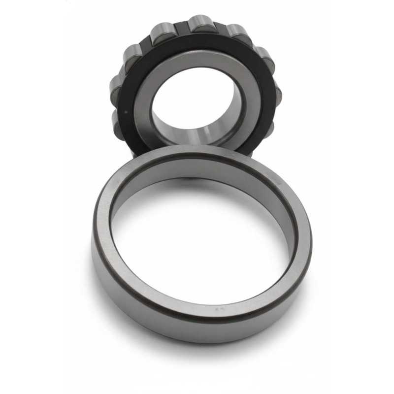NF310 C3 RICH 50x110x27 NF310C3 RICH