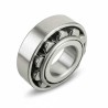 NF 307 P6 RICH 35x80x21 NF307P6 RICH