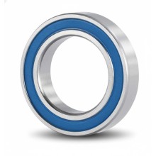 SS 61804-2RS RICH 20x32x7 SS618042RS RICH