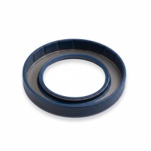 Oil Seal RICH 10x18x6 FPM 01026916B RICH