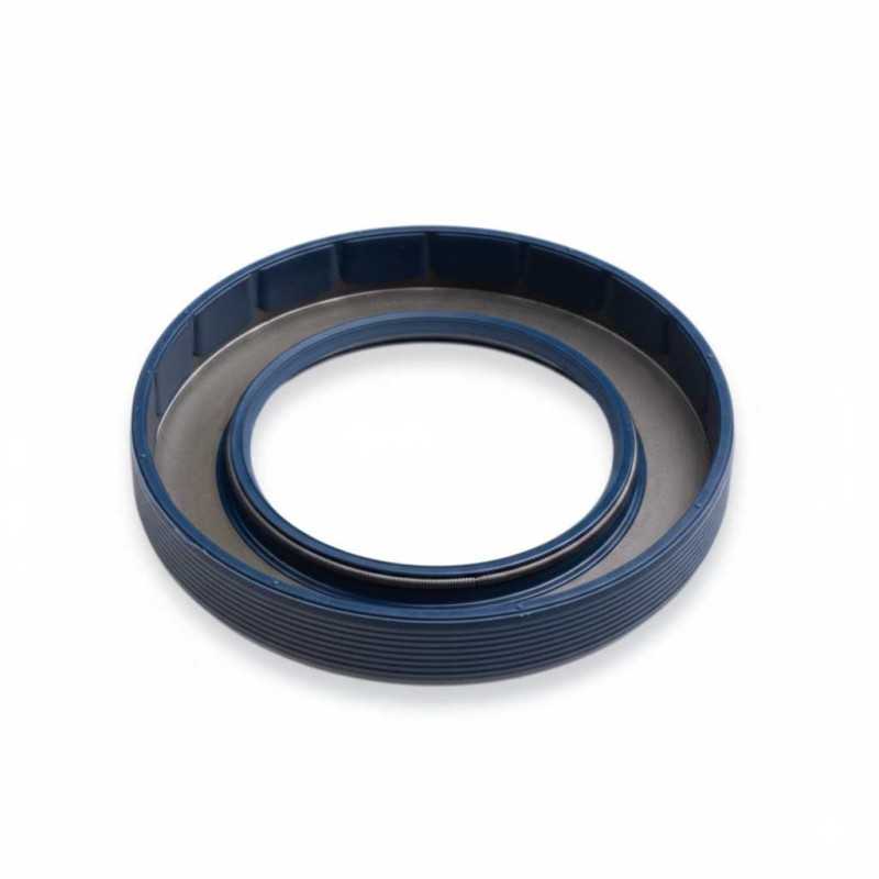 Oil Seal RICH 10x18x6 FPM 01026916B RICH