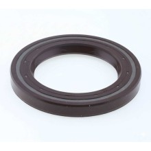 Oil Seal RICH 47,6x72x8 FPM 12014811B RICH